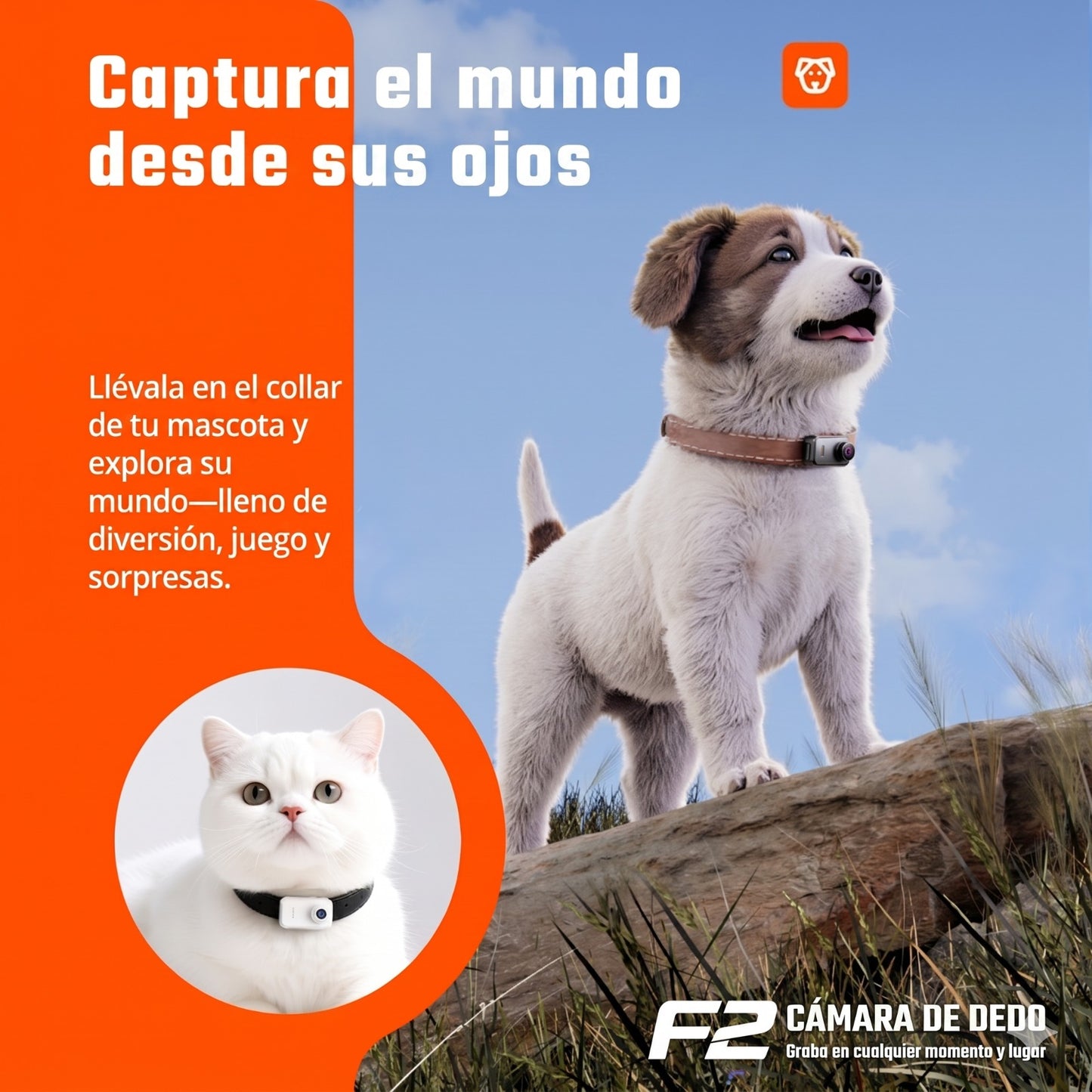 CAMARA DEPORTIVA F2
