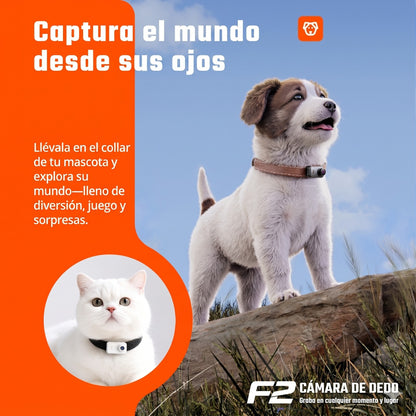 CAMARA DEPORTIVA F2